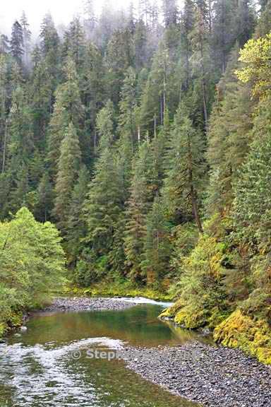 quartzville creek 3508f graphic